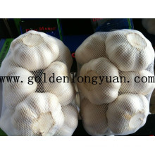 2016 Fresh New Crop Pure White Garlic